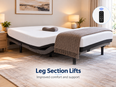 EZbed Adjustable Electric Queen Bed with Italian Magnaflex Mattress